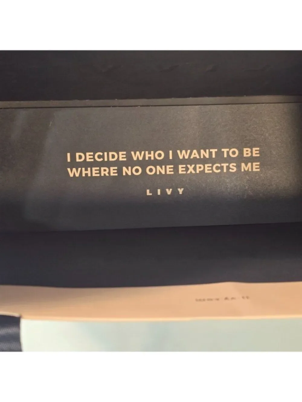 Authentic Livy French Luxury Lingerie Paper Shopping Bag 14.25